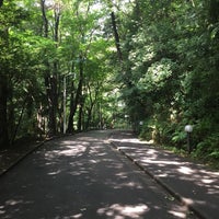 日本女子大学附属高等学校 High School In 川崎市