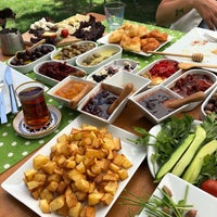 kozalak bodrum dagbelen 49 tavsiye