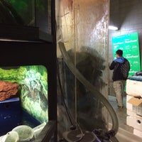 aquality tropical fish wholesale