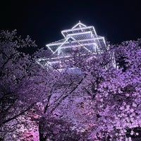 Photo taken at Fukuoka Castle Ruins by skipmura on 4/7/2024