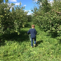 Door Creek Orchard Farm In Cottage Grove