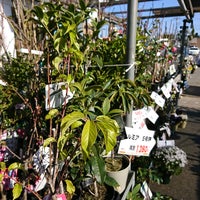 ビバホーム長浦店 袖ヶ浦市 0 Tips ビバホーム長浦店 袖ヶ浦市 0 Tips
