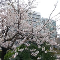 Photo taken at 千葉工業大学 津田沼キャンパス by Ken1986 on 4/6/2024