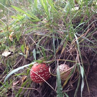 Photo taken at Щёлковский городской Парк Культуры и отдыха by Юлия З. on 9/27/2017