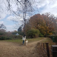 11/20/2019 tarihinde Olga T.ziyaretçi tarafından Dumbarton Oaks Park'de çekilen fotoğraf