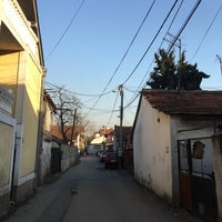Photo taken at Marinkova bara by Dragana P. on 2/22/2021