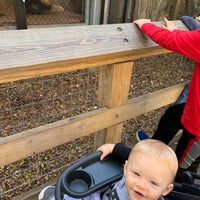 Photo taken at African lions by Abby L. on 10/23/2019