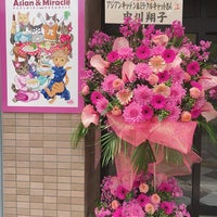 ミラクルキャット