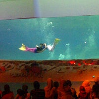 Photo taken at Under water theater by Eka K. on 12/1/2012