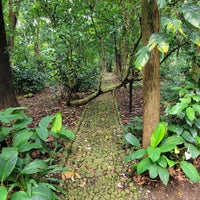 Photo taken at Bogor Botanical Gardens by Anang G. on 2/16/2024