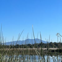 Photo taken at IRWD San Joaquin Marsh &amp;amp; Wildlife Sanctuary by Jason L. on 1/6/2024
