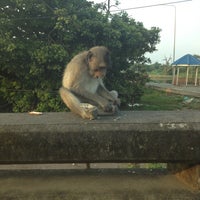 Photo taken at แหล่งอนุรักษ์ลิงแสม บางขุนเทียน by เปรี้ยวใจ on 10/23/2013