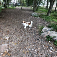 Photo taken at Veijarivuoren puiston koira-aitaus by Anna-Julia V. on 9/4/2018