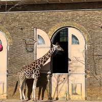 Photo taken at Giraffe House by rsmike ☯. on 10/9/2022
