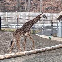 Photo taken at Seneca Park Zoo by Cari on 12/30/2021