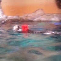 Photo taken at Sea Otter Exhibit by Teresa M. on 8/8/2013