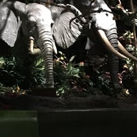 Photo taken at Rainforest Cafe by Greg L. on 9/29/2019