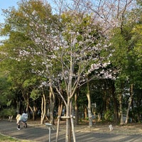 Photo taken at 茅ヶ崎中央公園 by Chick on 4/6/2022