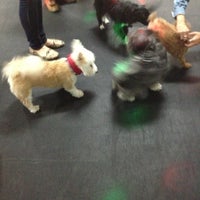 Photo taken at Zoom Room Dog Training by Sarah L. on 3/10/2013