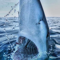 コナミスポーツクラブ 二子玉川 Club De Sport A 二子玉川