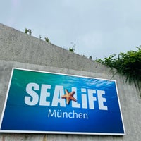 Снимок сделан в SEA LIFE München пользователем L⁶⁷ 7/1/2022
