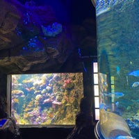 Photo taken at SEA LIFE München by L⁶⁷ on 7/1/2022