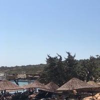 Plage Isolee 931 Ziyaretçidan 41 Tavsiye