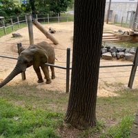 Foto tomada en Maryland Zoo in Baltimore  por Jennifer B. el 5/28/2023