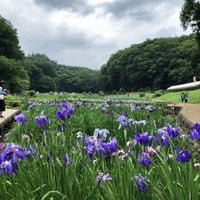 Photo taken at 吹上しょうぶ公園 by Hiro N. on 6/17/2018