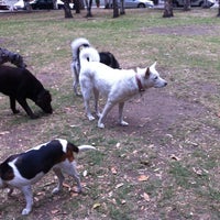 Photo taken at Parque y reunión de perros by Marycarmen C. on 1/2/2013