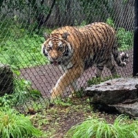 Photo taken at Seneca Park Zoo by Jon B. on 6/1/2022