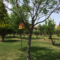 Review Spil Villaları