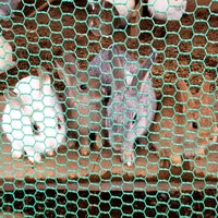 蔵王エコー山荘 33 Visitors 蔵王エコー山荘 33 Visitors