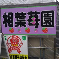 相葉いちご園 1 Tip 相葉いちご園 1 Tip