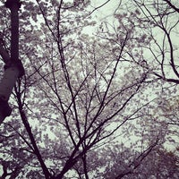 Photo taken at 森下公園 by takanoah on 3/24/2013
