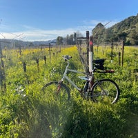 Photo taken at Yountville Park by Todd R. on 3/8/2021