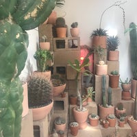 Photo taken at Cactus Store by MARiCEL on 9/2/2017