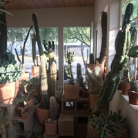 Photo taken at Cactus Store by MARiCEL on 11/27/2017