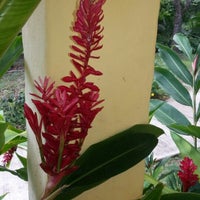9/30/2012 tarihinde Cynthia M.ziyaretçi tarafından B&amp;amp;B Hotel Cerrito Tropical'de çekilen fotoğraf