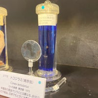 Photo taken at Meguro Parasitological Museum by Shotaro H. on 1/20/2024