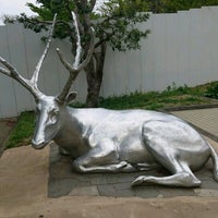 シフゾウ広場 日野 程久保7 1 1