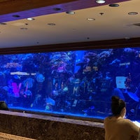 Photo taken at The Mirage Aquarium by Stephen G. on 6/23/2021