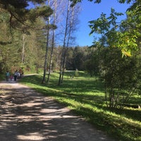 Photo taken at Ботанический сад Академгородка СО РАН by Michael S. on 9/3/2017