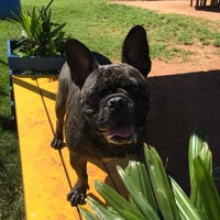 Photo taken at Espaço Canino by Paulo on 3/9/2019
