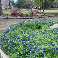 Photo taken at Addison, TX by Adam G. on 4/7/2024