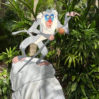 Photo taken at Rafiki&amp;#39;s Planet Watch Area by Kevin P. on 2/18/2022