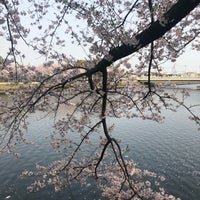 Photo taken at 荒子川公園 by Reynalyn A. on 4/7/2019