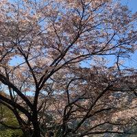 Photo taken at 奥多摩霊園 by れい on 4/9/2023