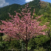 Photo taken at 奥多摩霊園 by れい on 4/18/2021