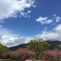 Photo taken at 奥多摩霊園 by れい on 4/15/2018